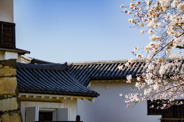 castle roof architecture next to cherry blossoms