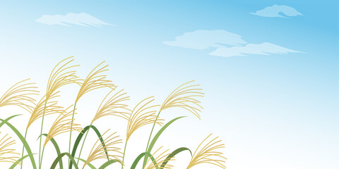 Obraz premium ススキと青空の風景_背景（2：1）_ベクターイラスト