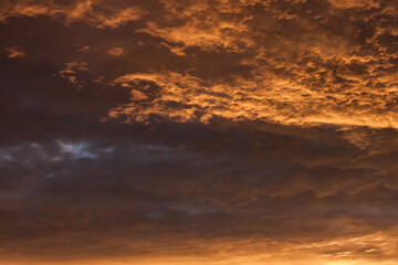 Naklejka na ściany i meble Clouds in the evening sky. Sunset Close-up