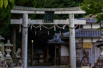 Poster Torii gate in a shrine © Mikolaj