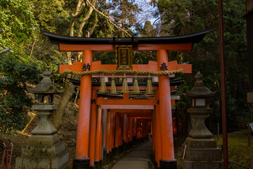 dark path through torii gates