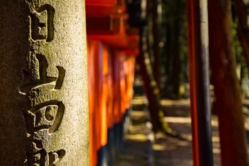 Gordijnen torii gates lined up © Mikolaj