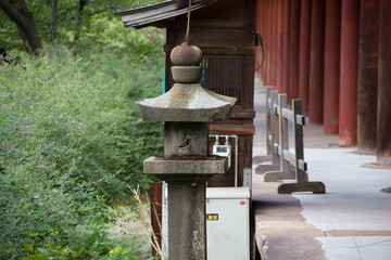 lantern in the garden