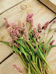 flowers on wooden background