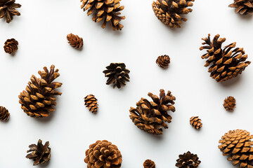 pine cones on colored table. natural holiday background with pinecones grouped together. Flat lay....