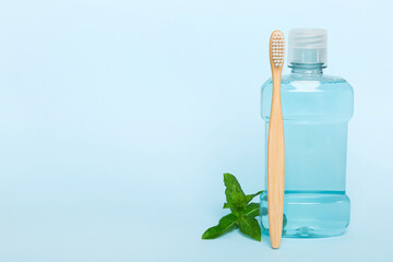 Mouthwash and fresh mint on colored background, top view with copy space for text