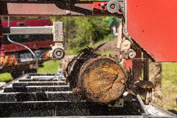 Close up view on the mechanical workings of an industrial sawmill in use outdoors, long blade cuts through felled tree with sawdust flung into air. - obrazy, fototapety, plakaty