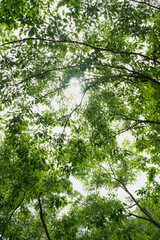 OLIB-PHOTO-17
