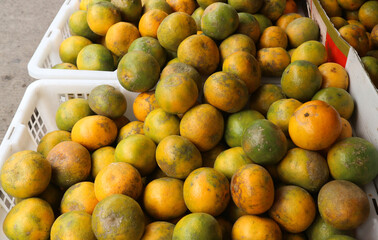 Mound of oranges in a container box