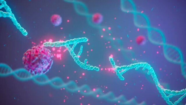 Animation of DNA double helix destroyed by aggressive virus cells. 3D render 4K