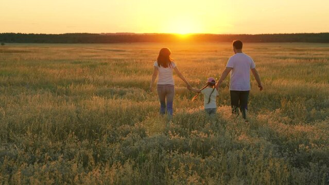 Family walks on green grass in meadow. Happy family, child, are walking in summer field, holding hands. Mom dad daughter walking together on nature. Parents, children are walking in park at sunset.