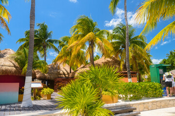 Bungalows in the shadow of cocos palms on the beach, Isla Mujeres island, Caribbean Sea, Cancun,...