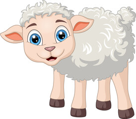 Cute baby sheep cartoon on white background