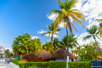 Bungalows in the shadow of cocos palms on the beach, Isla Mujeres island, Caribbean Sea, Cancun, Yucatan, Mexico - obrazy, fototapety, plakaty