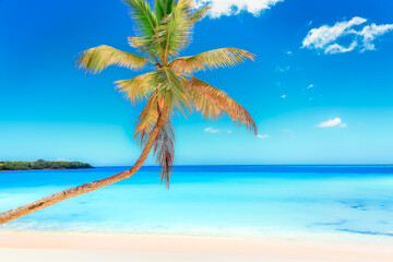 Turquoise beach in Saona Island, Punta Cana, Dominican republic