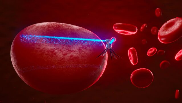 Futuristic concept of nanobots repairing human blood cells.  CGI animation. 4K