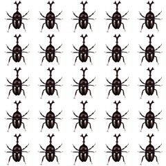 set of ants