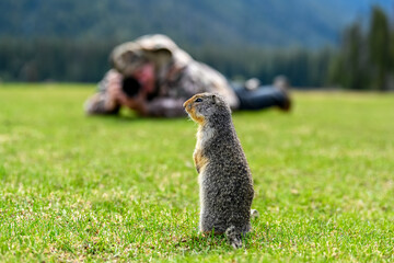A nature photographer on the ground taking photos of Columbian ground squirrel (Urocitellus...