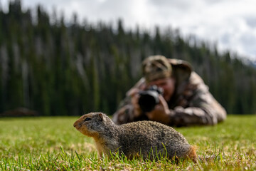 A nature photographer on the ground taking photos of Columbian ground squirrel (Urocitellus columbianus) in Ernest Calloway Manning Park, British Columbia, Canada