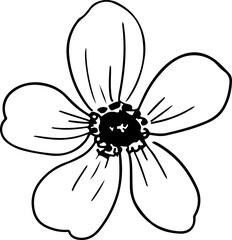 handrawn flower line art
