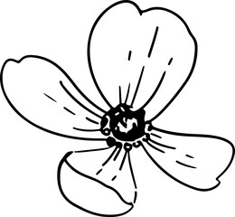 handrawn flower line art