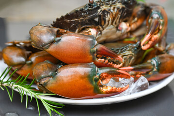 fresh mud crab with ice for cooking food in the seafood restaurant, raw crab on white plate with rosemary