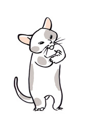 腕組みする猫