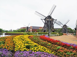 the cityscape of flowers and windmill