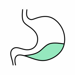 Vector illustration of digestive tract anatomy line icon. Pictogram infographic of the digestive organ of the stomach. Gastronomic and gastrologic symbol. Health care and medical concept.