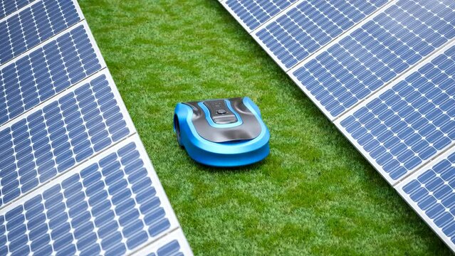A lawn robot mows the grass between solar panels. Wireless robotic lawn mower.