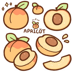 apricot cartoon drawing set