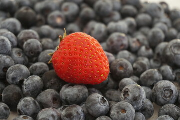 One Ripe Red Strawberry in the Middle of Blueberries