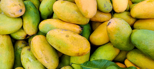 Heap of fresh ripe yellow mangoes background