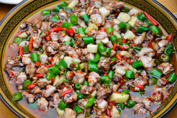 Spicy diced rabbit,Sichuan Cuisine,chinese food