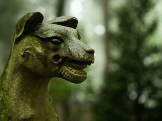 Fototapeta na wymiar 山深い神社にたたずむ狛犬