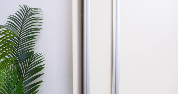 Pot-plant and door stagger due to earthquake in area. Lush green leaves of plant standing against white walls in room. Natural disaster close view