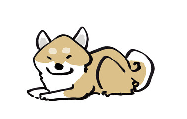 ニンマリする柴犬