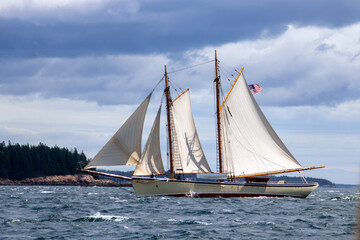 sailing in the sea