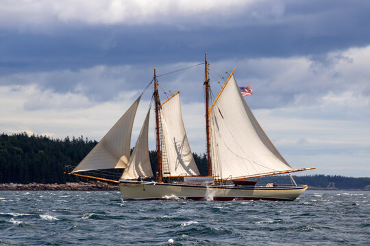 sailing in the sea