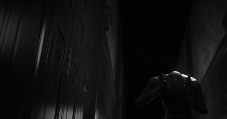 Image of human like monster in dark tunnel being stunned