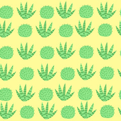 seamless pattern with cactus on a white background in cartoon style.Vector illustration