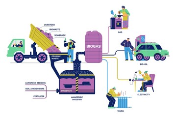 Biogas division diagram with digester generating gas fuel, flat vector isolated.