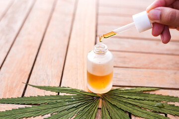 Doctor hand hold cannabis oil, Research of hemp oil extracts for medical purposes