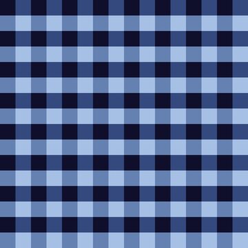 blue and white checkered tablecloth