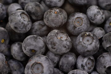 blueberry berries closeup background for cooking fruits summer