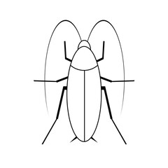 Black cockroach with long whiskers on a white background