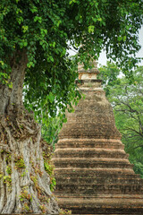 Archaeological and Buddhist sites, historical religious sites, Buddha, temples, ceremonial areas, religious attractions, Buddhist churches, antiques, pagodas, nature and dharma, Buddha statue.