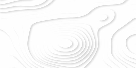 Abstracts Luxury paper cut background, Abstract decoration, white pattern gradients, 3d Vector illustration, topographic canyon map light relief texture, curved layers and shadow.