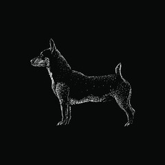 Teddy Roosevelt Terrier hand drawing vector illustration isolated on black background