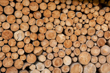 A woodpile of chopped lumber in the backyard. A big pile of wood logs. Fuel wood.